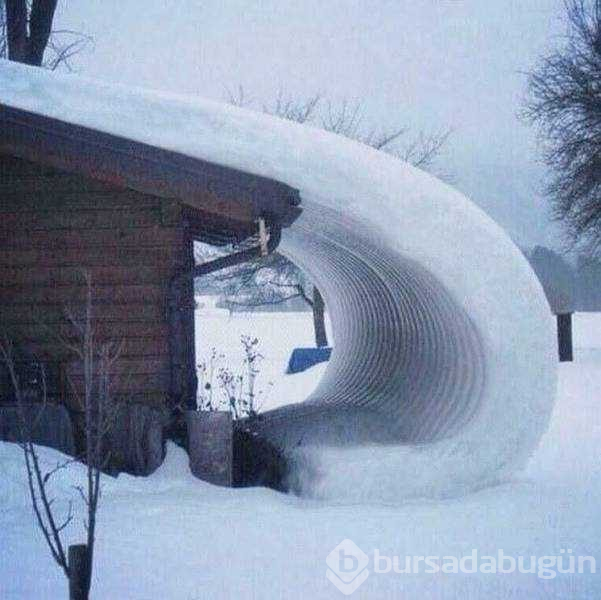 Günün en çok paylaşılan fotoğrafları(05.12.2018)
