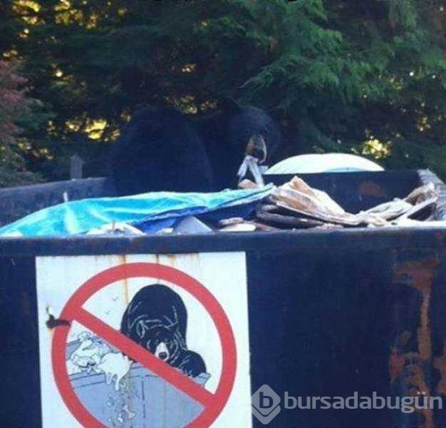 Günün en çok paylaşılan fotoğrafları(05.12.2018)
