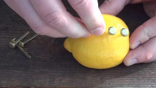 Çarşıdan aldığı limonla öyle bir şey yaptı ki...
