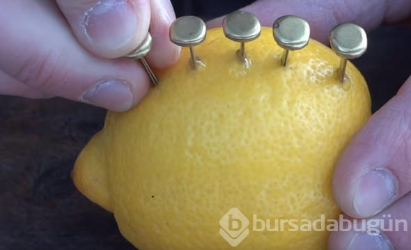 Çarşıdan aldığı limonla öyle bir şey yaptı ki...
