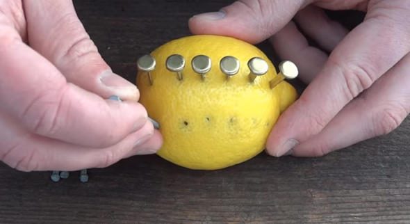 Çarşıdan aldığı limonla öyle bir şey yaptı ki...
