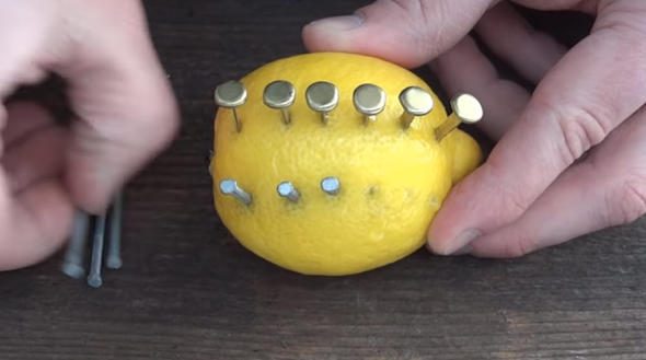 Çarşıdan aldığı limonla öyle bir şey yaptı ki...
