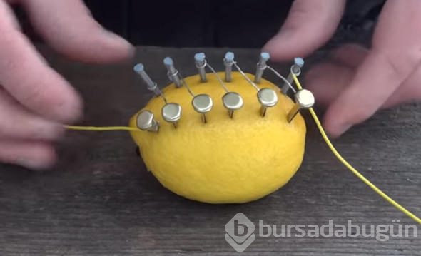 Çarşıdan aldığı limonla öyle bir şey yaptı ki...
