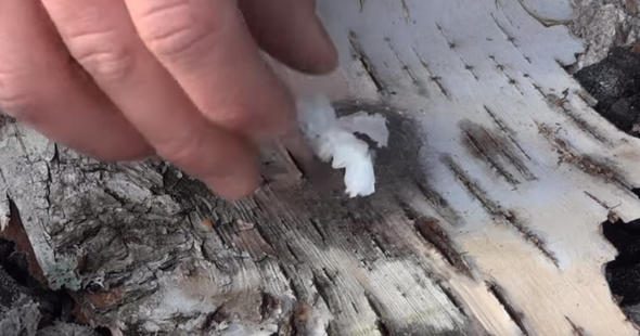 Çarşıdan aldığı limonla öyle bir şey yaptı ki...
