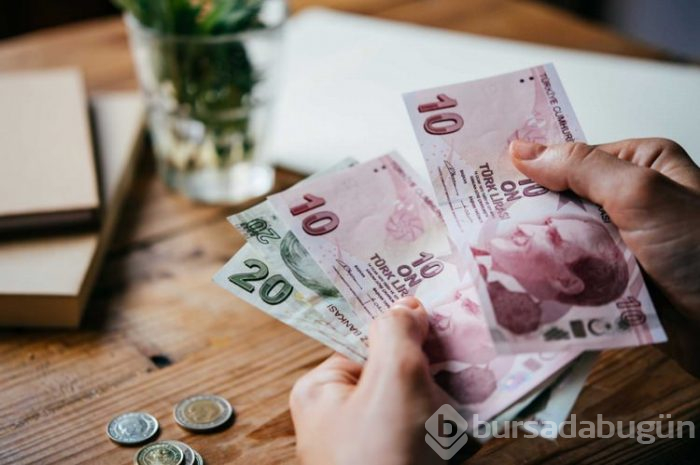 İşte Türkiye'de en çok kazandıran 46 meslek ve yıllık ortalama kazançları....