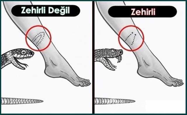 Hayatınızı kolaylaştıracak pratik bilgiler
