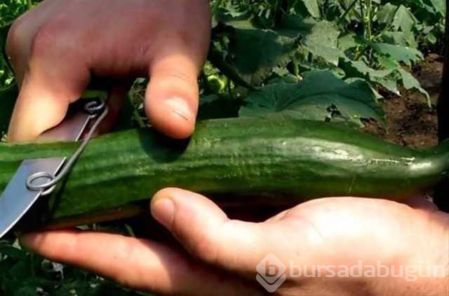 Hayatınızı kolaylaştıracak pratik bilgiler
