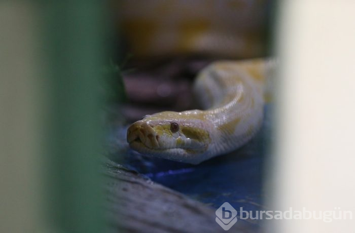 Onlar için mesleğini bıraktı!
