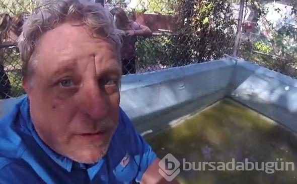 İp koptu, timsah dolu havuza düştü!
