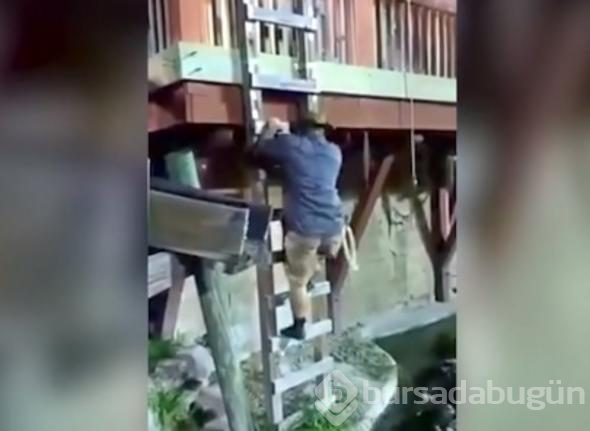 İp koptu, timsah dolu havuza düştü!
