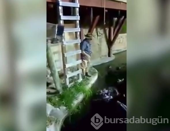 İp koptu, timsah dolu havuza düştü!
