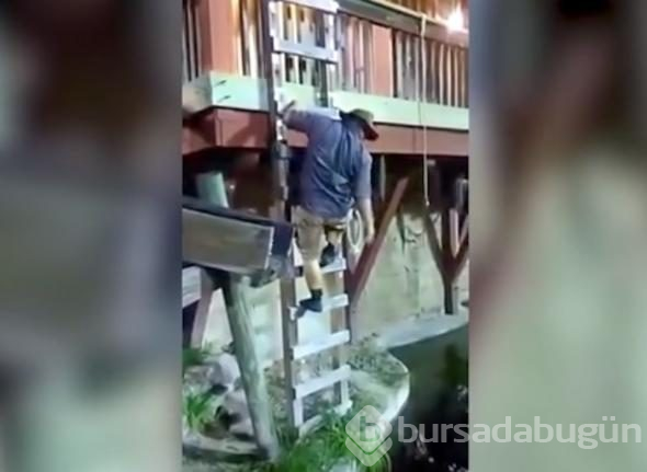 İp koptu, timsah dolu havuza düştü!
