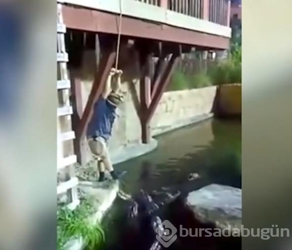 İp koptu, timsah dolu havuza düştü!
