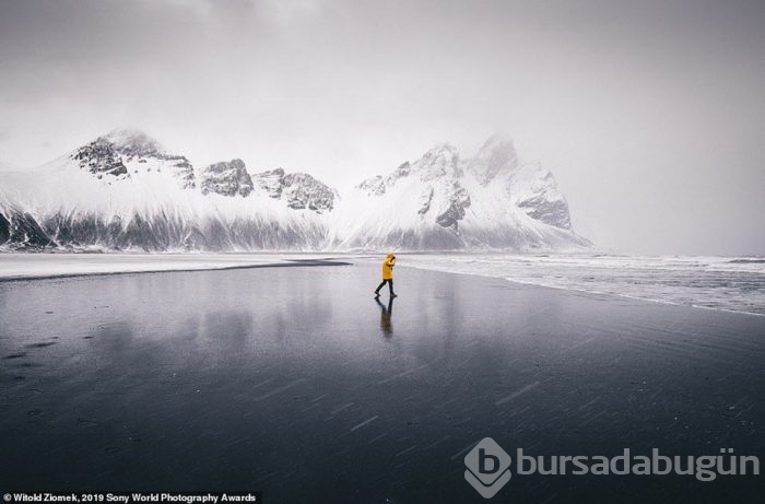 Sony Dünya Fotoğraf Ödülleri'nde yarışan nefes kesen fotoğraflar