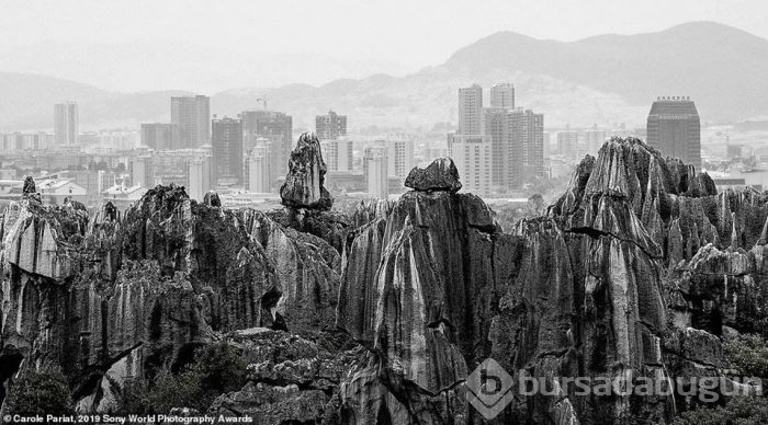 Sony Dünya Fotoğraf Ödülleri'nde yarışan nefes kesen fotoğraflar