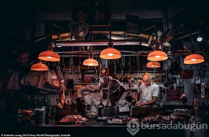 Sony Dünya Fotoğraf Ödülleri'nde yarışan nefes kesen fotoğraflar