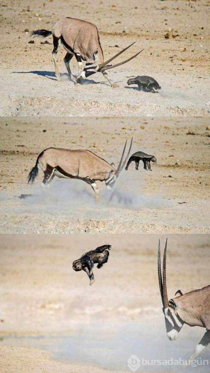 Günün en çok paylaşılan fotoğrafları(06.12.2018)