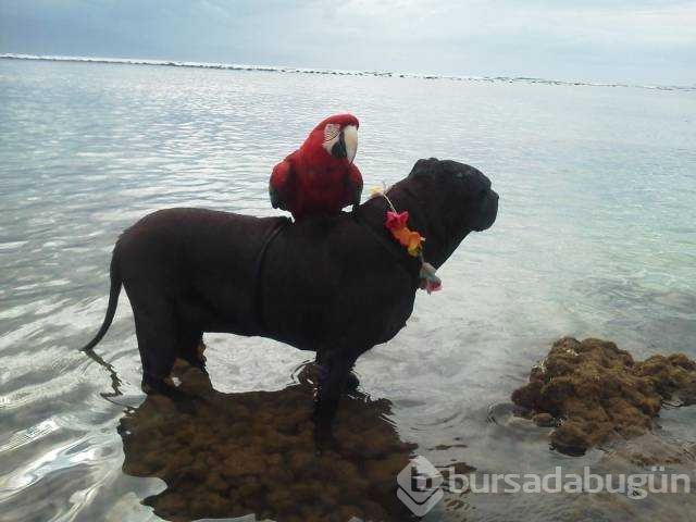 Günün en çok paylaşılan fotoğrafları(06.12.2018)