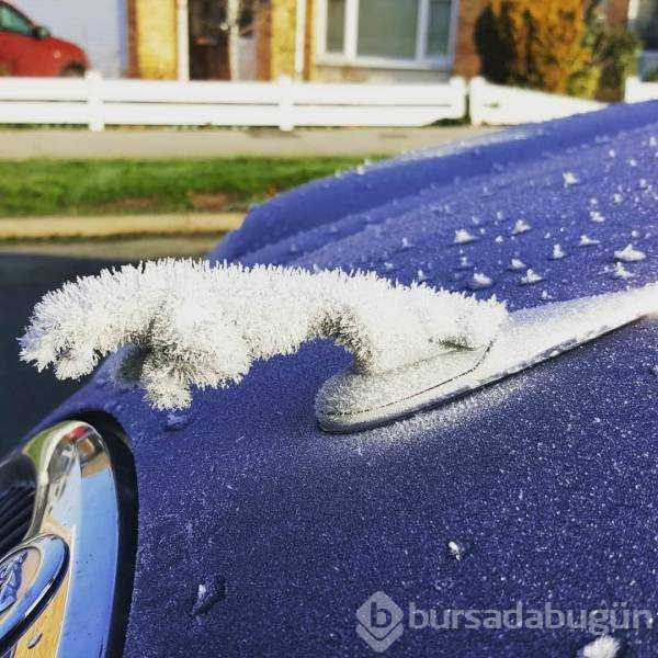 Günün en çok paylaşılan fotoğrafları(06.12.2018)