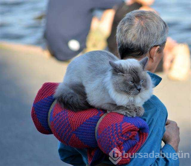 Günün en çok paylaşılan fotoğrafları(06.12.2018)