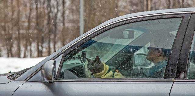 Günün en çok paylaşılan fotoğrafları(06.12.2018)