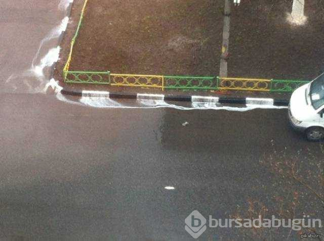 Günün en çok paylaşılan fotoğrafları(06.12.2018)