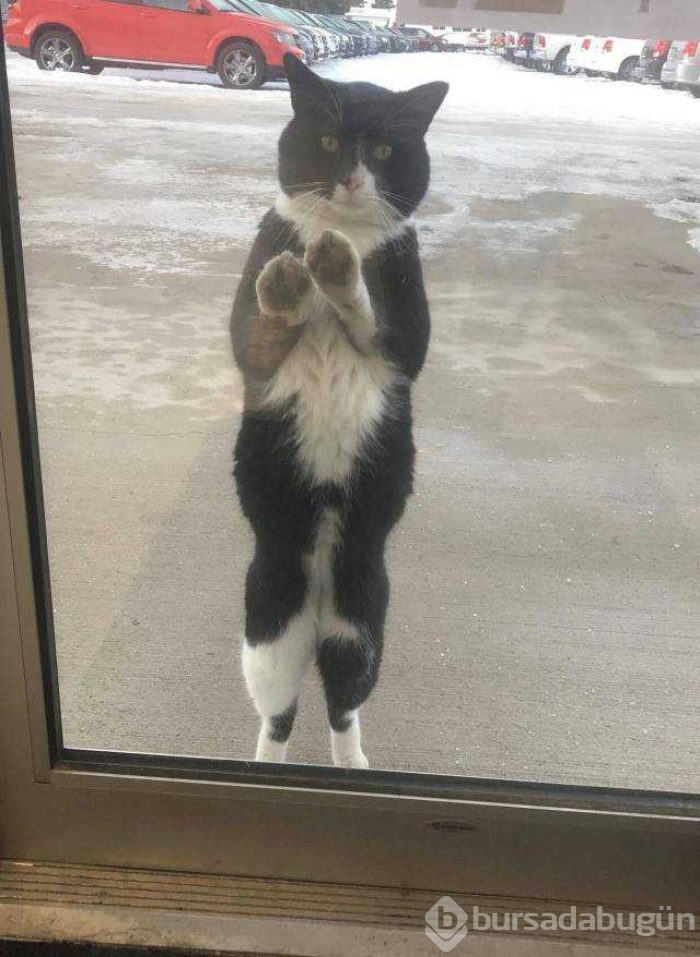 Günün en çok paylaşılan fotoğrafları(06.12.2018)