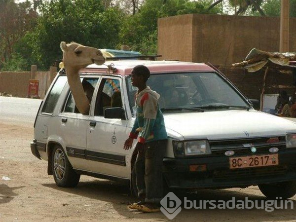 Afrika'da sıradan bir gün...