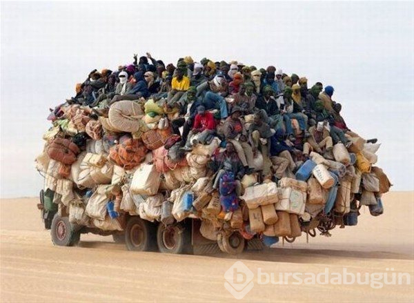Afrika'da sıradan bir gün...