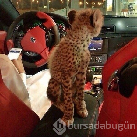 İşte Dubai'nin zengin çocukları
