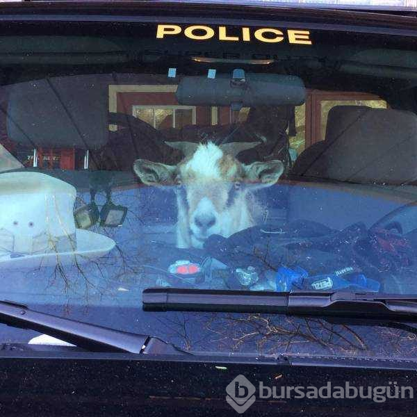 Günün en çok paylaşılan fotoğrafları(07.12.2018)