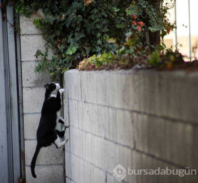 Günün en çok paylaşılan fotoğrafları(07.12.2018)