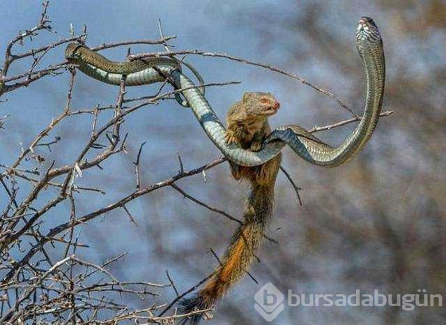 Günün en çok paylaşılan fotoğrafları(07.12.2018)