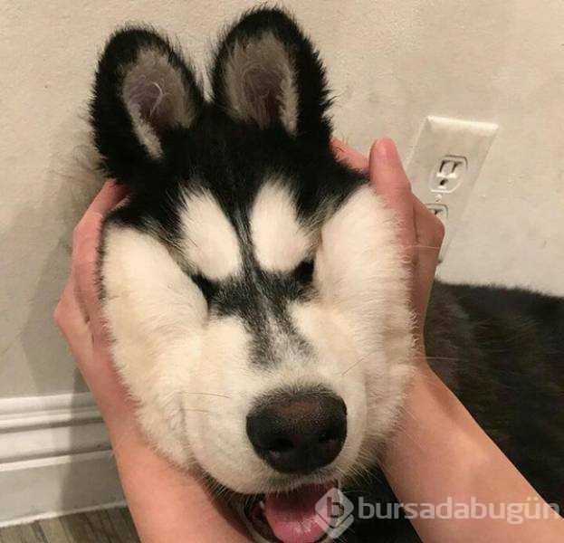 Günün en çok paylaşılan fotoğrafları(07.12.2018)