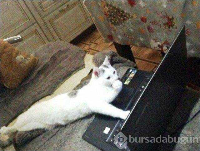 Günün en çok paylaşılan fotoğrafları (12.12.2018)