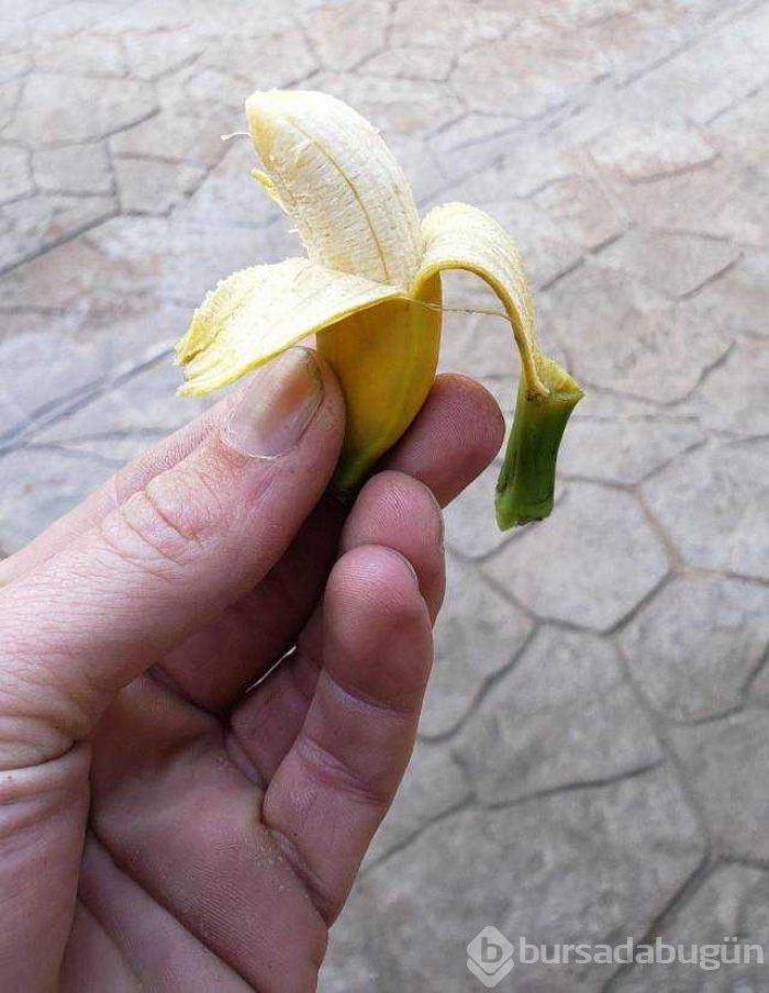 Günün en çok paylaşılan fotoğrafları (12.12.2018)
