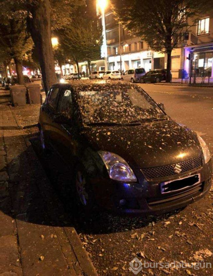 Günün en çok paylaşılan fotoğrafları (12.12.2018)