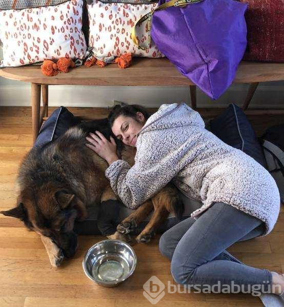 Günün en çok paylaşılan fotoğrafları (12.12.2018)