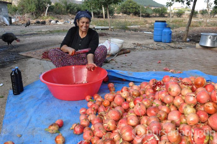 Salataların olmazsa olmazı nar ekşisinin nasıl yapıldığını biliyor musunuz?
