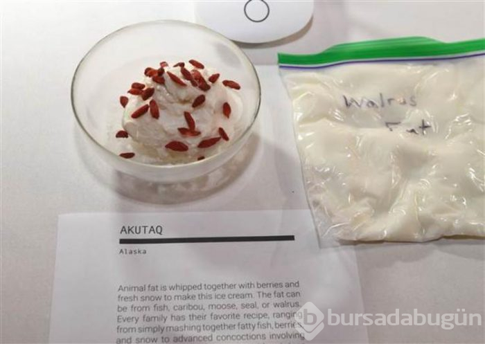Dünyanın en 'iğrenç' yiyecekleri... Bu müzede dolaşmayı mideniz kaldırmayabilir
