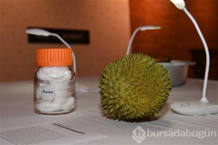 Dünyanın en 'iğrenç' yiyecekleri... Bu müzede dolaşmayı mideniz kaldırmayabilir
