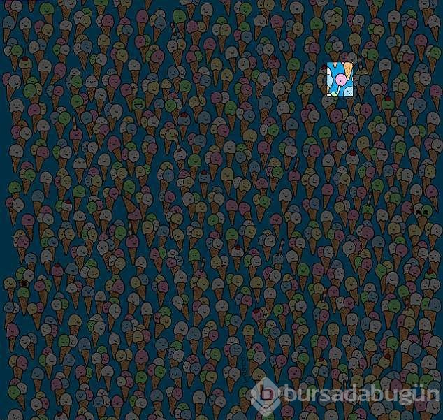 Resimdeki Ikiz Cocuklari Bulabilecek Misiniz Dunyanin En Zor Dikkat Testi Foto Galerisi 9 Bursadabugun Com