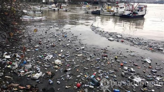 Zonguldak Limanı çöple doldu

