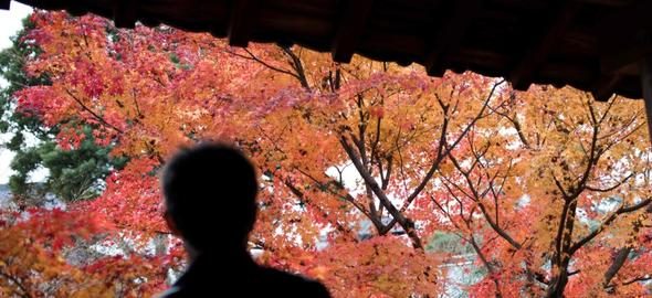 Japonya'nın ihtiyar mahkumları
