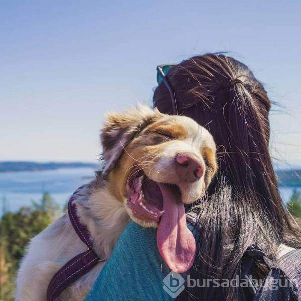 Bu kareleri anlatmaya kelimeler yetmez!
