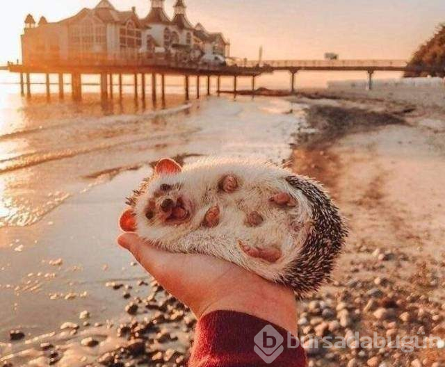 Bu kareleri anlatmaya kelimeler yetmez!
