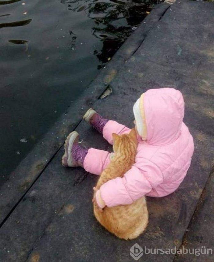 Bu kareleri anlatmaya kelimeler yetmez!
