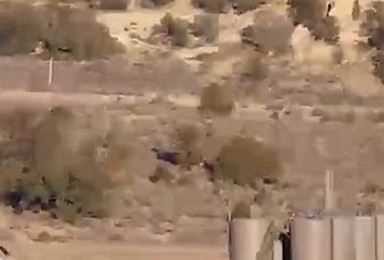 Bilim dünyasını şaşırtan gizemli yaratıkların sırrı ne?
