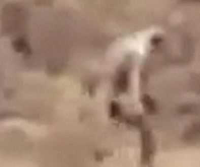 Bilim dünyasını şaşırtan gizemli yaratıkların sırrı ne?
