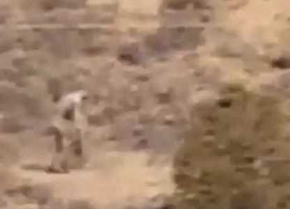 Bilim dünyasını şaşırtan gizemli yaratıkların sırrı ne?
